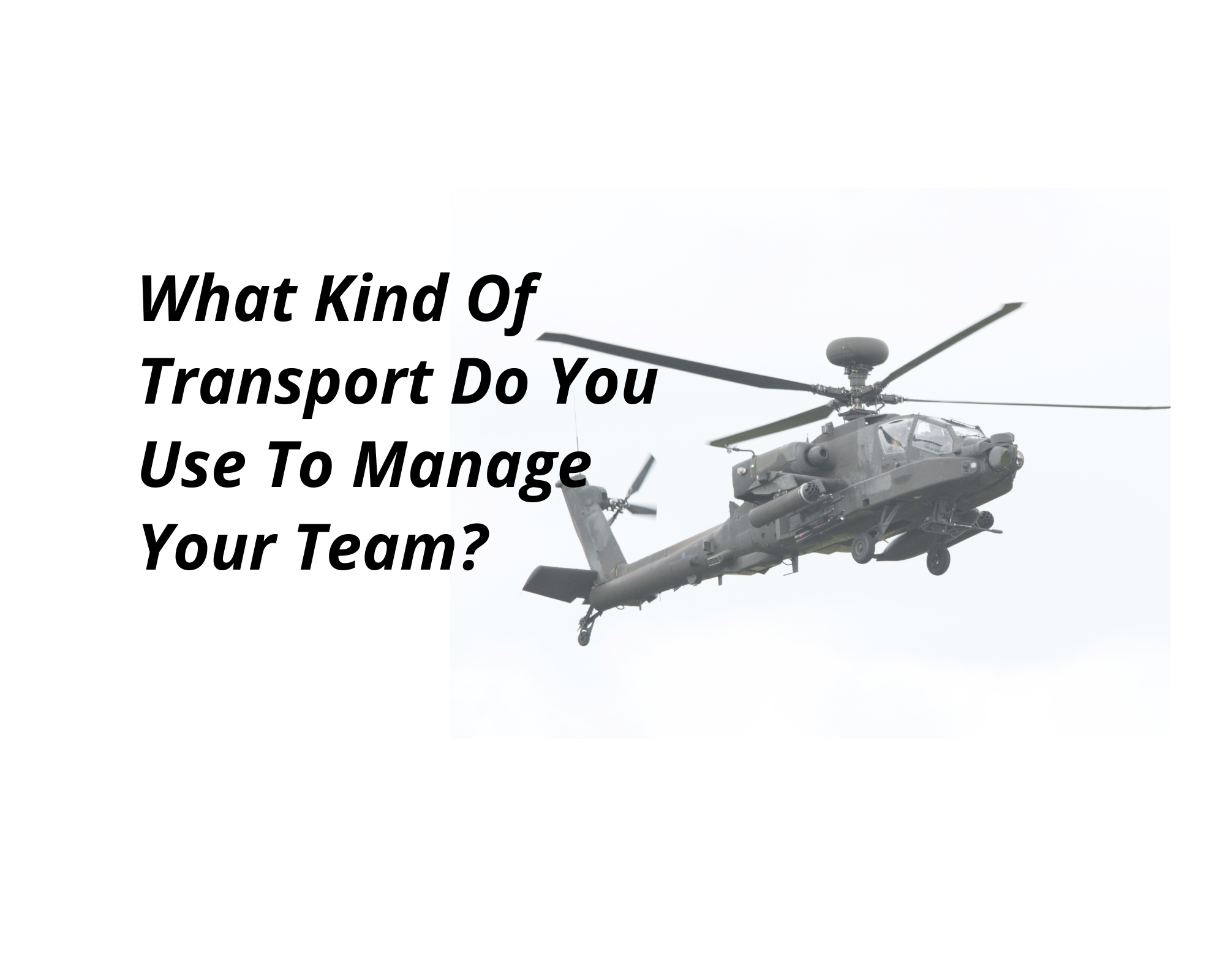 What Kind Of Transport Do You Use To Manage Your Team?